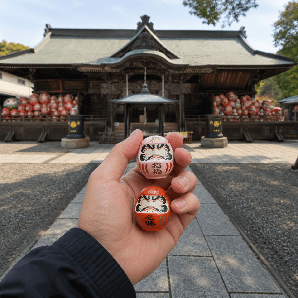 Premium Daruma Ritual Set